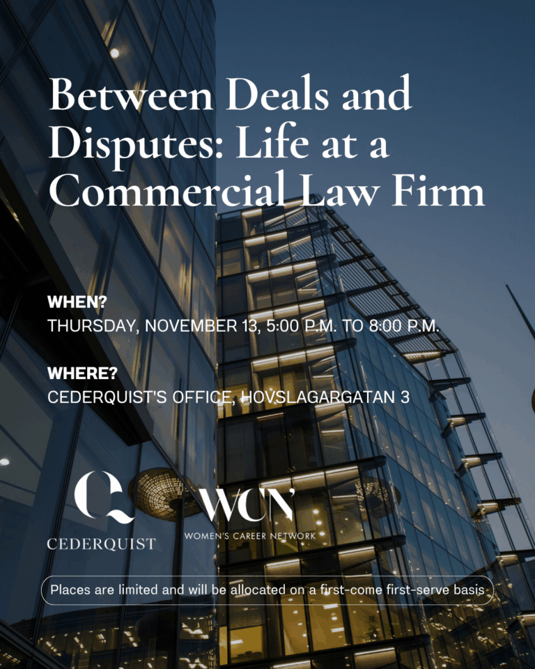 Between Deals and Disputes: Life at a Commercial Law Firm